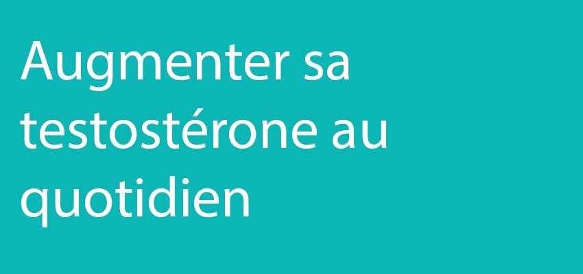 Comment augmenter sa testostérone au quotidien ?