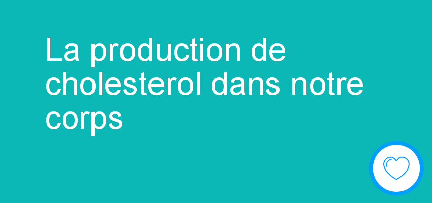 La production de cholesterol dans notre corps