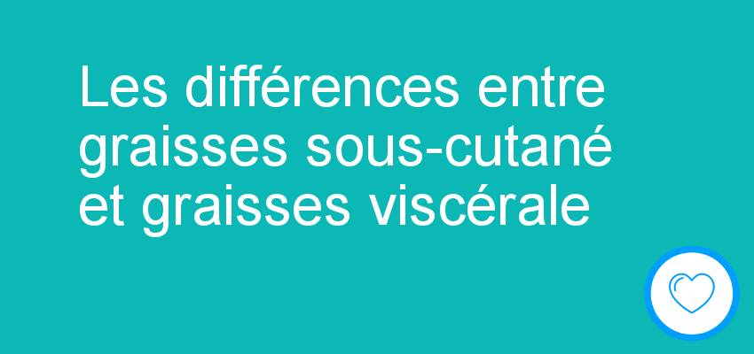 Les différences entre graisses sous-cutané et graisses viscérale