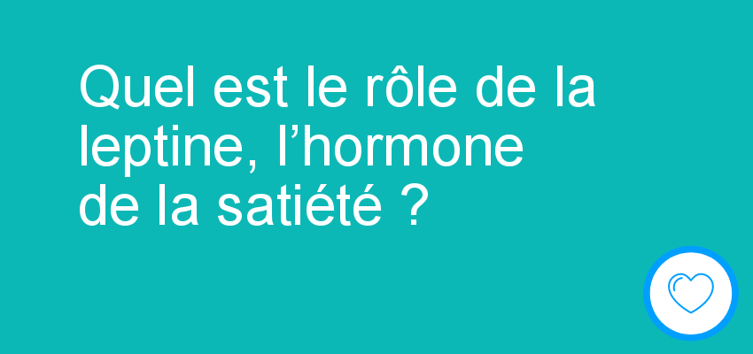 Quel est le rôle de la leptine, l’hormone de la satiété ?